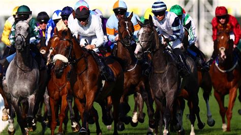 copper horse handicap trends|Copper Horse Stakes Odds Comparison 2024 .